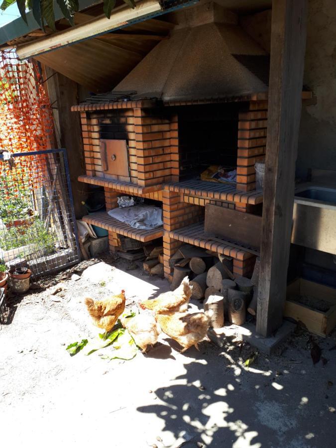 House Contu1000 Apartment Порто Екстериор снимка